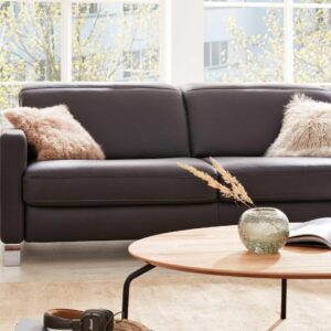 Interliving Zweisitzer aus Leder