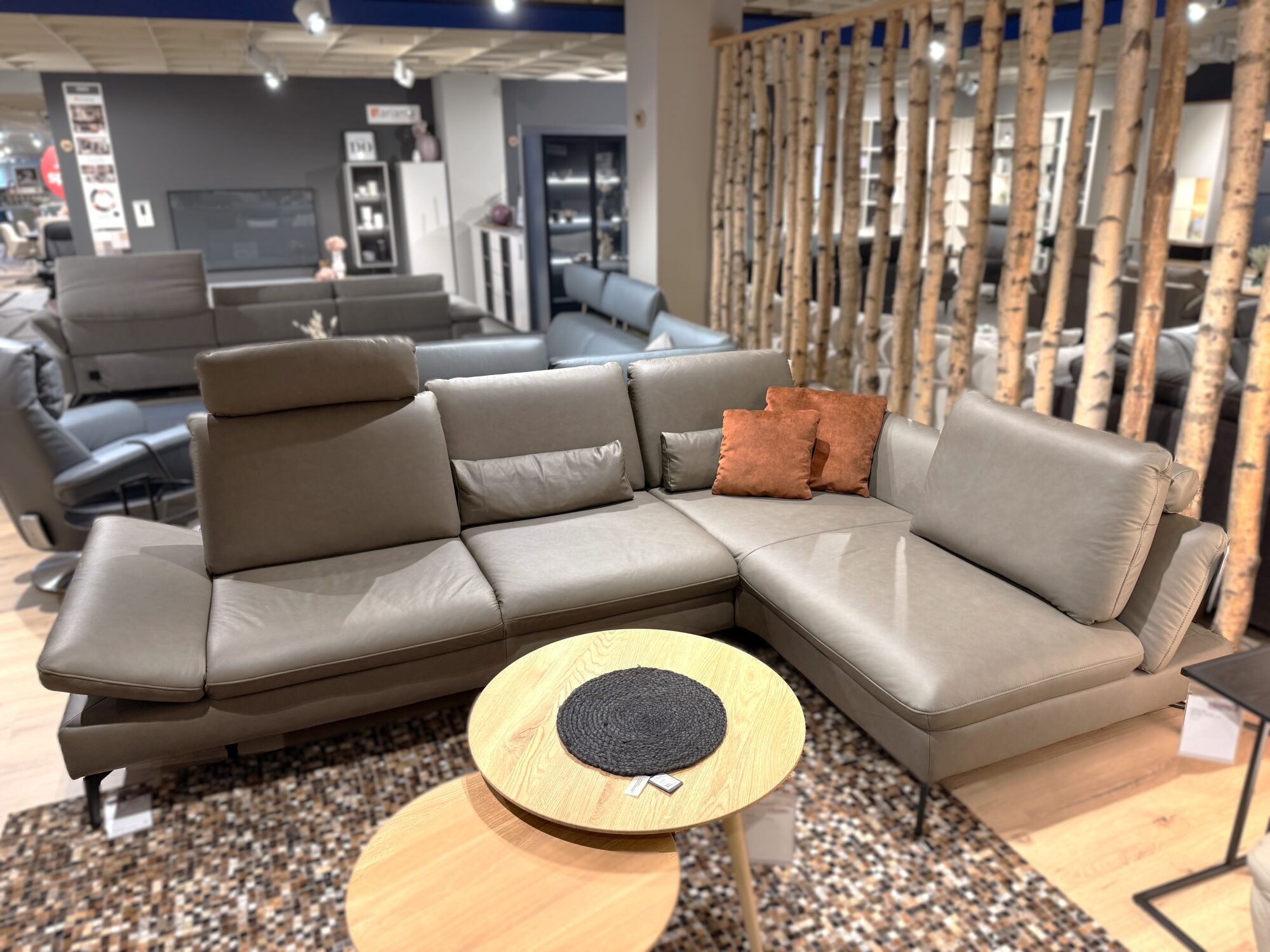 Ledergarnitur modulmaster